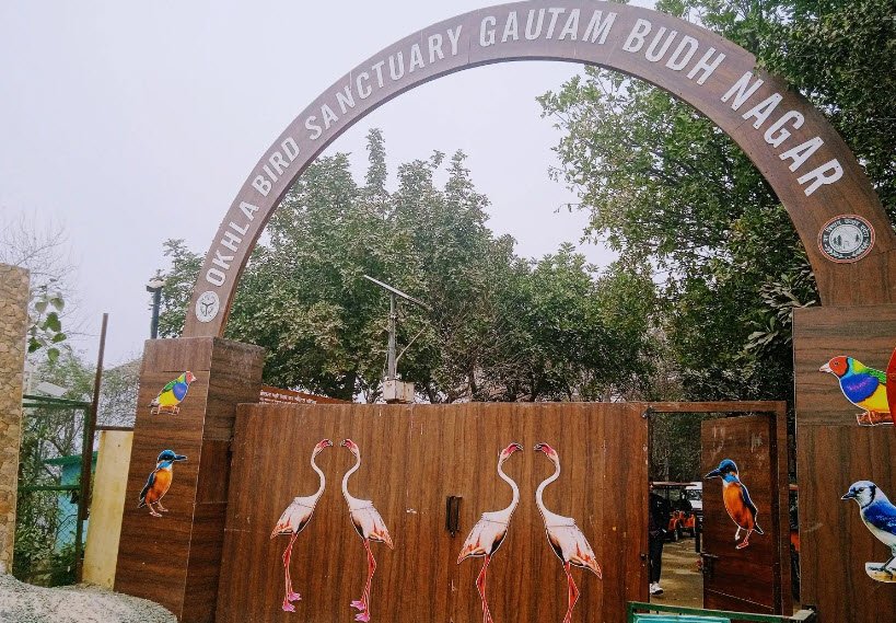 Okhla Wildlife Sanctuary, Gautam Buddha Nagar, Uttar Pradesh - Vushii.com Okhla Wildlife Sanctuary, Gautam Buddha Nagar, Uttar Pradesh - Vushii.com